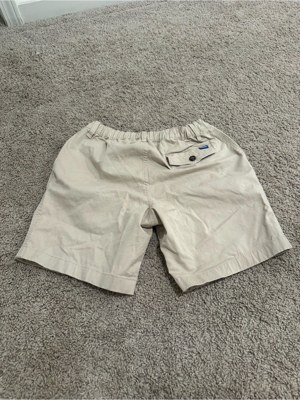 Chubbies Shorts